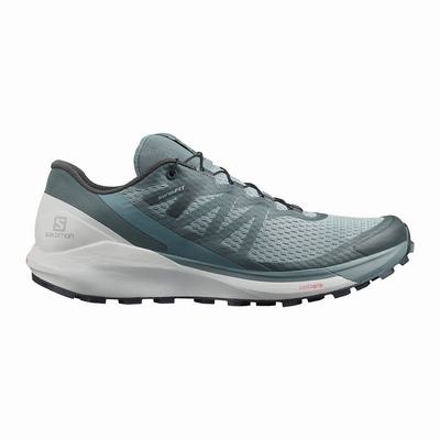 Pánské Běžecké Boty Salomon SENSE RIDE 4 Zelene SA87502-183